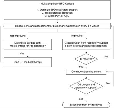 A multidisciplinary approach to severe bronchopulmonary dysplasia is associated with resolution of pulmonary hypertension